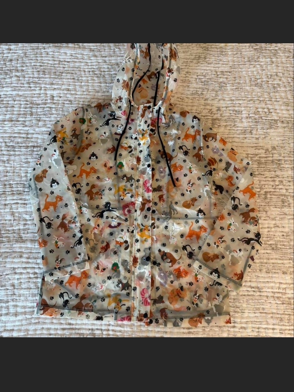 Disney Reigning Cats & Dogs Raincoat XS